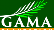 gama-plantation